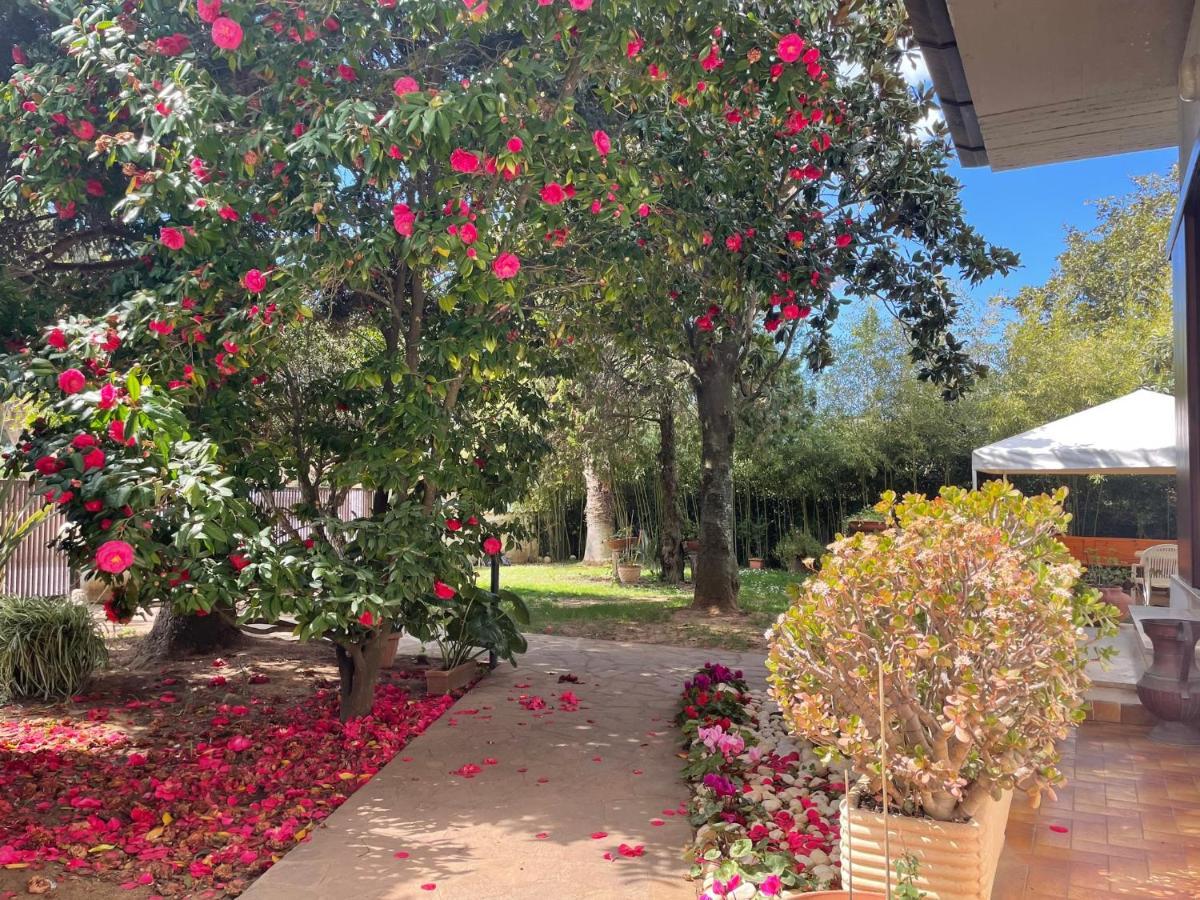 Appartamento In Villa Con Giardino Vicino Al Mare Bella Farnia Kültér fotó