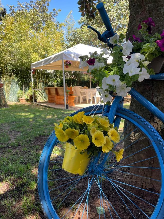 Appartamento In Villa Con Giardino Vicino Al Mare Bella Farnia Kültér fotó